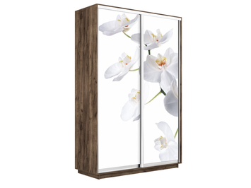 Шкаф-купе Экспресс Люкс 2-х дверный (Фото №1025 Орхидея белая)